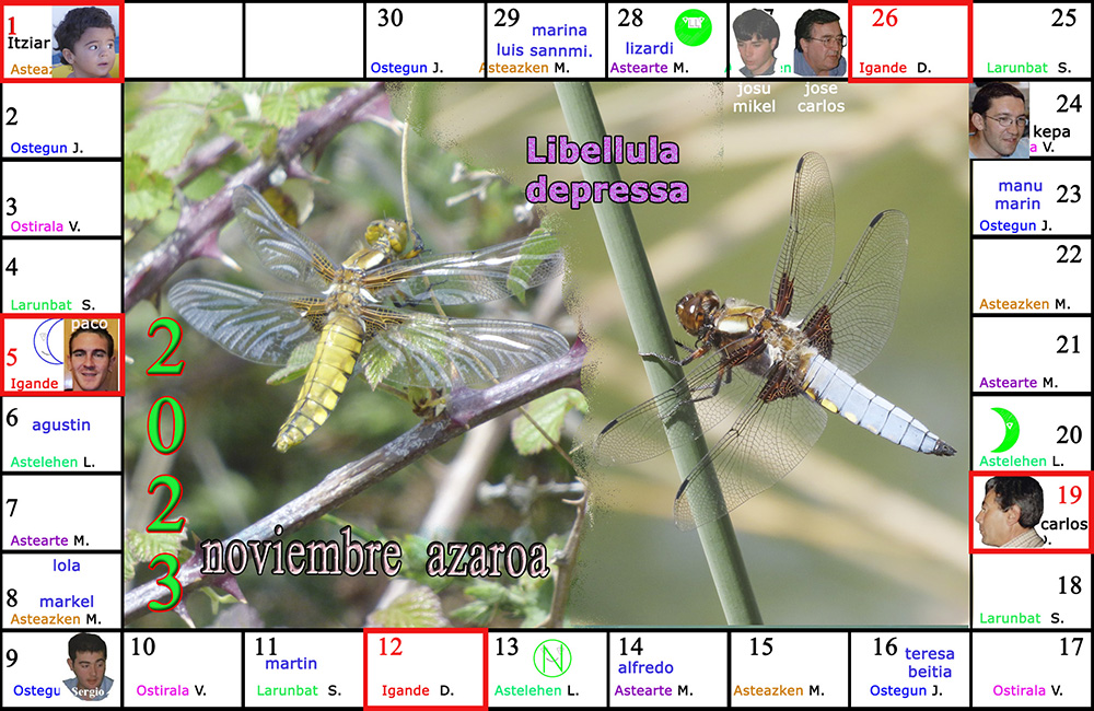 noviembre