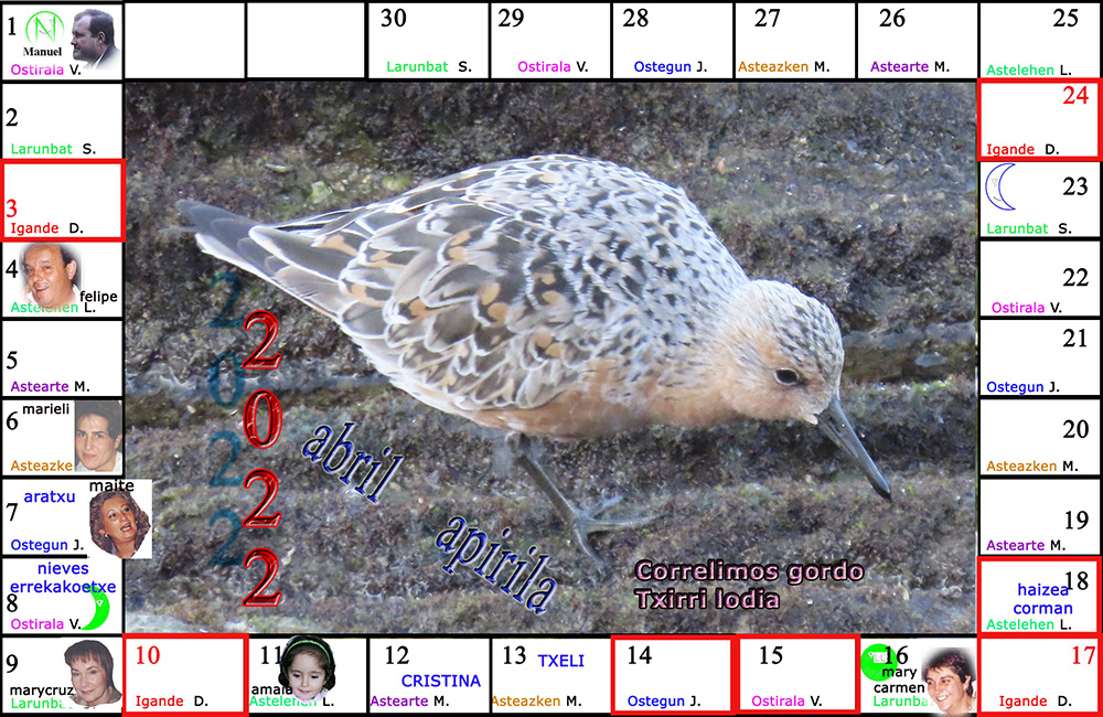 calendario