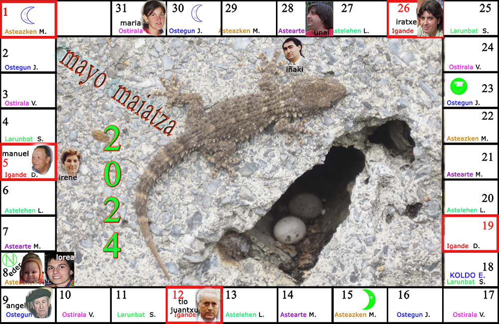 mayo24
