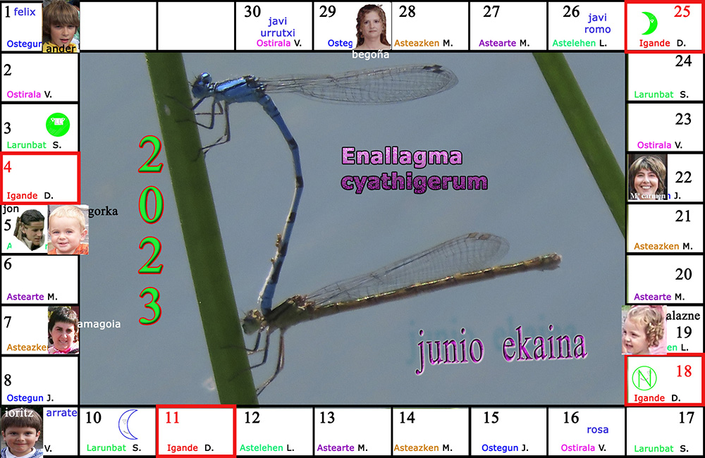 junio